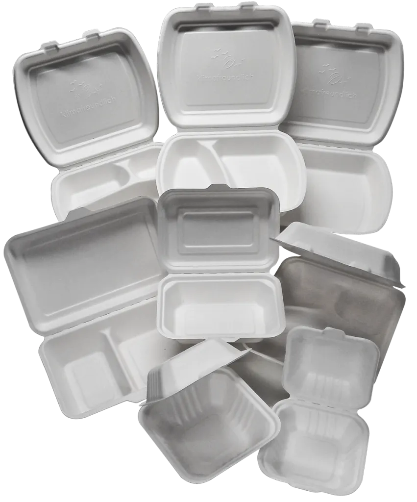 Bagasse Verpackungen