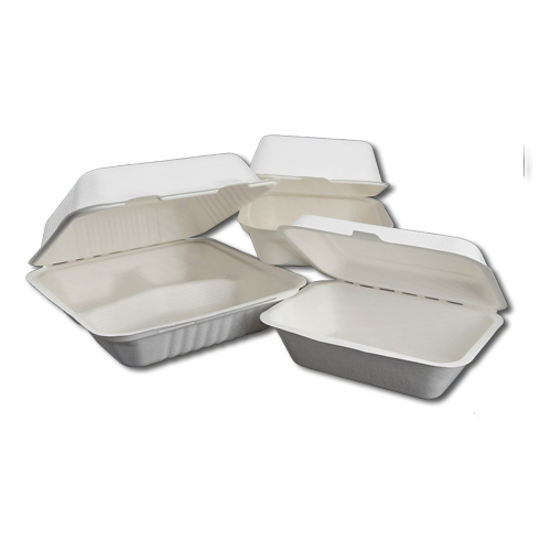 Bagasse Verpackungen
