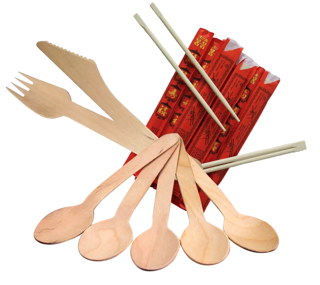 Bagasse Verpackungen